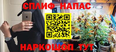 прущие грибы Апшеронск