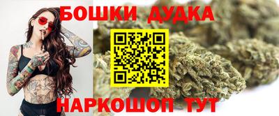 прущие грибы Апшеронск