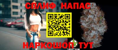 прущие грибы Апшеронск