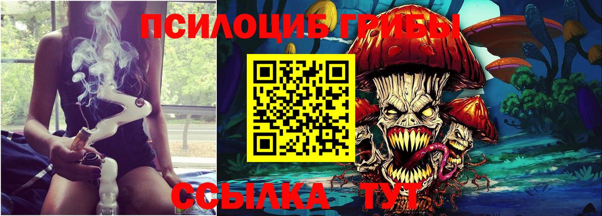 Балашиха  Галлюциногенные грибы Psilocybe  купить   Вход с VPN 
