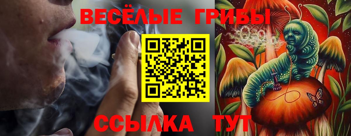 Псилоцибиновые грибы мицелий Балашиха